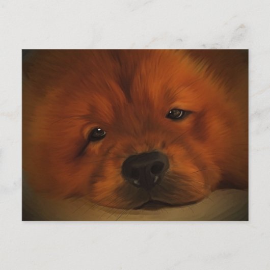 Chow Chow Briefkaart (Voorkant)