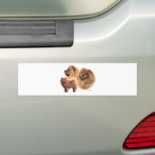 Chow Chow Bumpersticker (Op auto)