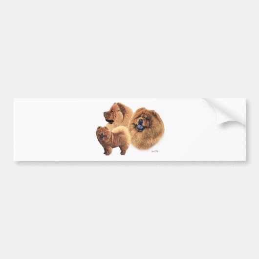 Chow Chow Bumpersticker (Voorkant)