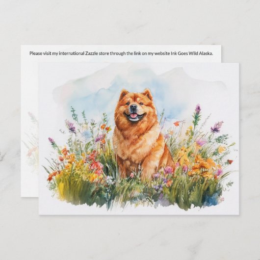 Chow Chow - Carte postale (Devant / Derrière)