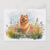 Chow Chow - Carte postale (Devant)