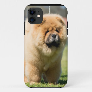 Chow chow iPhone 11 hoesje