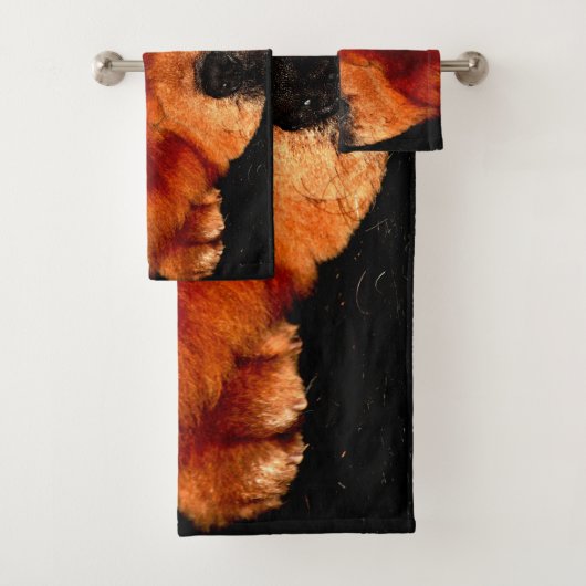 Chow Chow Chow btcna (En situation)