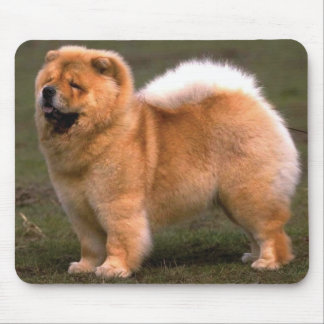 Chow Chow Dog Muismat