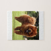 Chow Chow Dog Poses Legpuzzel (Horizontaal)