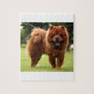 Chow Chow Dog Poses Legpuzzel
