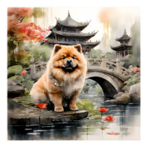 Chow Chow Een Chinese Tuin verkennen