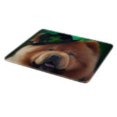 Chow Chow-hond in St. Patrick's Day-jurk Snijplank (Hoek)