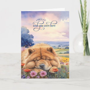 Chow Chow Hond Wilde Bloemen Schilderachtig Uitzic Kaart