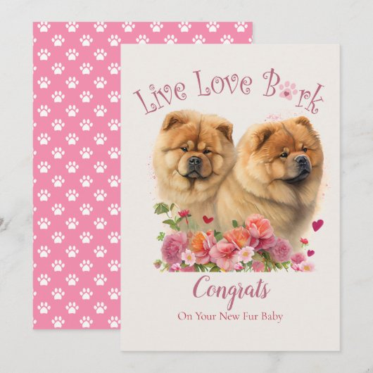 Chow Chow honden adoptie, Gotcha-dag Kaart (Voorkant / Achterkant)