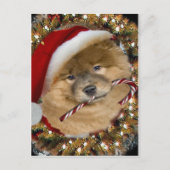 Chow Chow kerstsnoepgeschenken Feestdagenkaart (Voorkant)