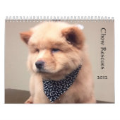 Chow Chow Rescue Calendar Kalender (Hoes)