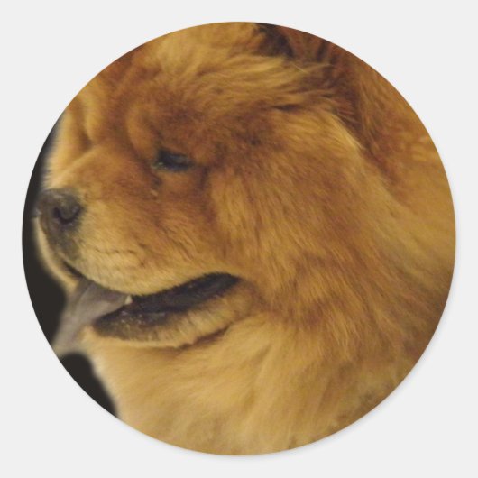 Chow Chow Ronde Sticker (Voorkant)