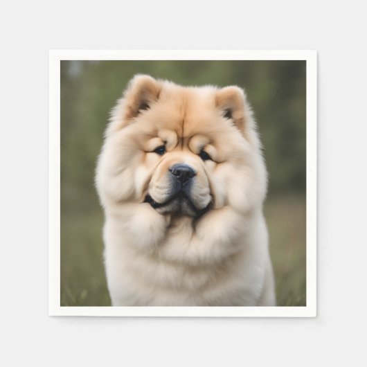 Chow Chow Servet (Voorkant)
