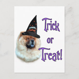 Chow Chow Trick Briefkaart
