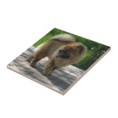 chow-chow vol tegeltje (Zijkant)
