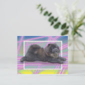 Chow-Chow Wang Briefkaart (Staand voorkant)