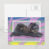 Chow-Chow Wang Briefkaart (Voorkant / Achterkant)
