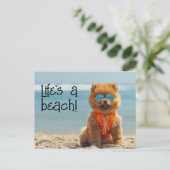 ChowChow Chiot portant lunettes de soleil carte po (Debout devant)