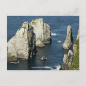Chowiet Seabird Colonies, Alaska Briefkaart (Voorkant)