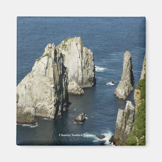 Chowiet Seabird Colonies, Alaska Magneet (Voorkant)