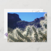 Choya Cactus - Carte postale Arizona (Devant / Derrière)
