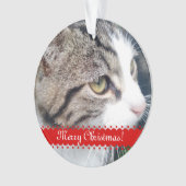 Choyez le téléchargement de l'ornement | de Noël (devant)