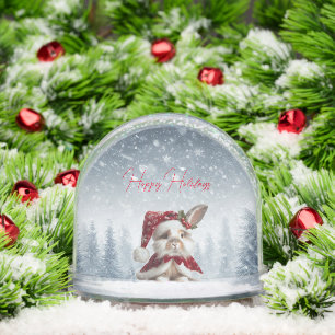 Chrismtas Bunny Rabbit Snow Wereldbol Sneeuwbol