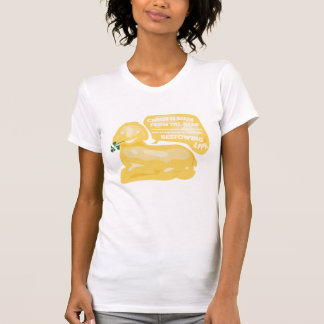 CHRIST IS RISEN, grappig boterlam T-shirt