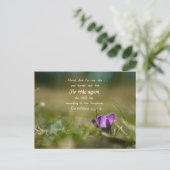 Christ Rose de nouveau Crocus carte postale (Debout devant)