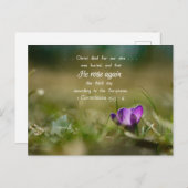 Christ Rose de nouveau Crocus carte postale (Devant / Derrière)