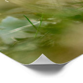 Christ Rose de nouveau Crocus Poster (Coin)