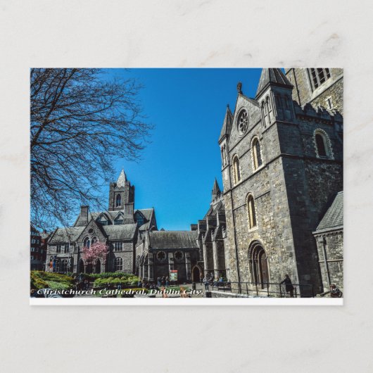 Christchurch Cathedral, Dublin Ireland Briefkaart (Voorkant)