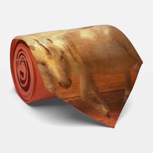 Christelijk - Noah's Ark - Het begin Stropdas (Opgerold)