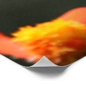 Christelijk Poster - vlinder - nieuwe creatie (Hoek)