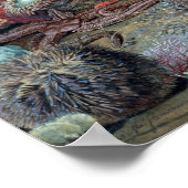 Christelijk Schussele Ocean Life Poster (Hoek)