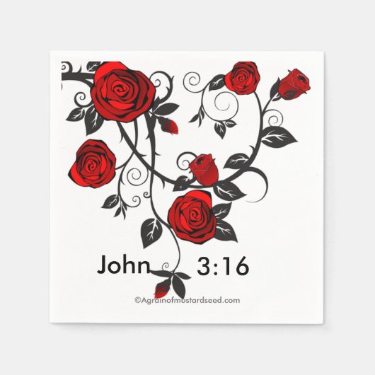 Christelijk Servet (Voorkant)