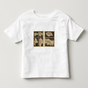 Christelijk tijdperk 1921 kinder shirts