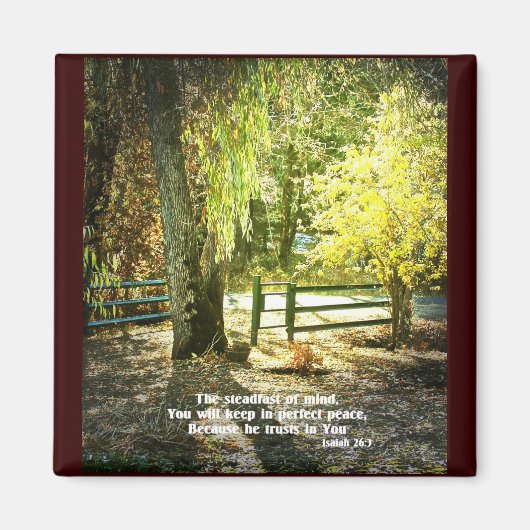 Christelijke Bijbelscripts maken Magneet (Voorkant)