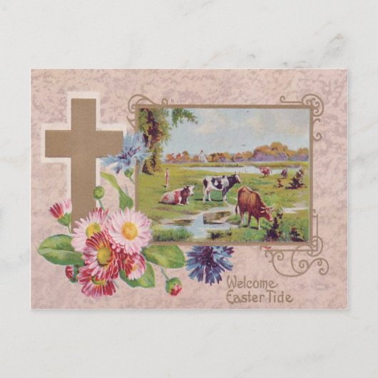 Christelijke Cross Daisy Koe Pasture Briefkaart (Voorkant)