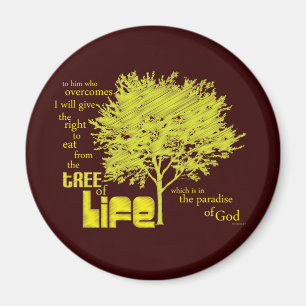 Christelijke magneet van Life-scripts