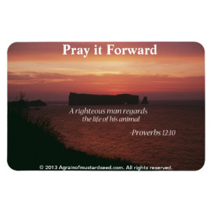 Christelijke offertes Inspirerend Magneet