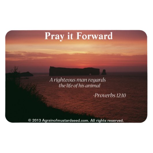 Christelijke offertes Inspirerend Magneet (Horizontaal)