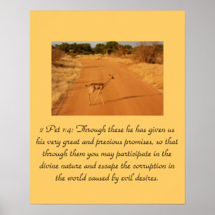 Christelijke Schrift 2 Pet 1:4 Poster