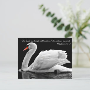 Christelijke Zwanen Ansichtkaart Briefkaart