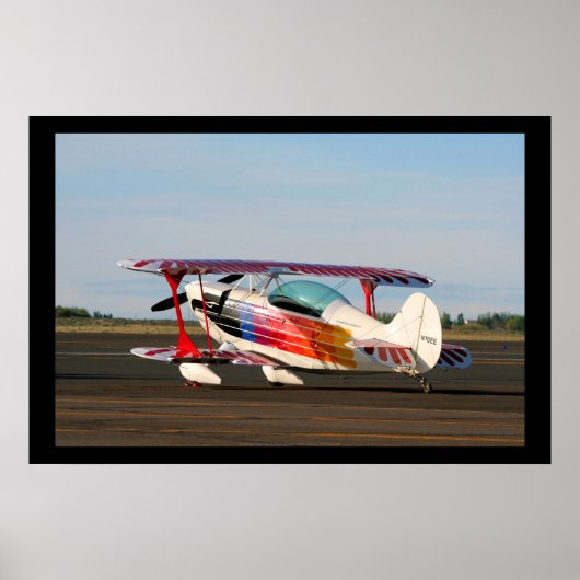 Christen Eagle II Poster (Voorkant)