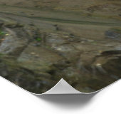 Christine Waterfall, Fall Colors, Mt. Rainier Poster (Hoek)