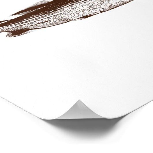 Christmas B Fishing Wearing Santa Hat  Poster (Hoek)