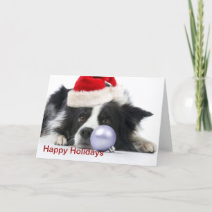 Christmas Border Collie Feestdagen Kaart