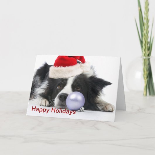 Christmas Border Collie Feestdagen Kaart (Voorkant)